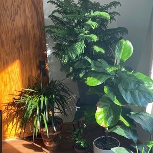 Meet your Posher, Mar ren